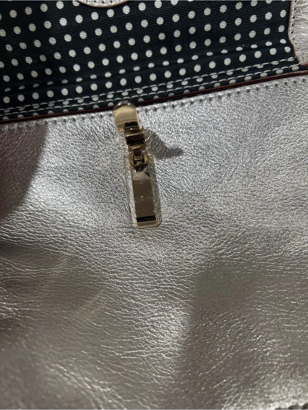 Kate Spade Metallic Silver/Champagne Leather Crossbody Bag
